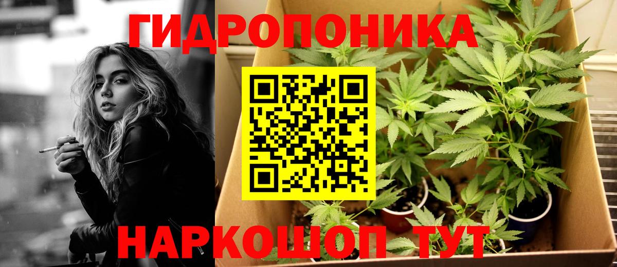 Тимашёвск  Конопля ГИДРОПОН  Шишки марихуана AK-47  Вход с VPN  МАРИХУАНА ГИДРОПОН 